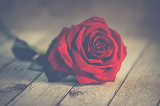 Stress free valentines